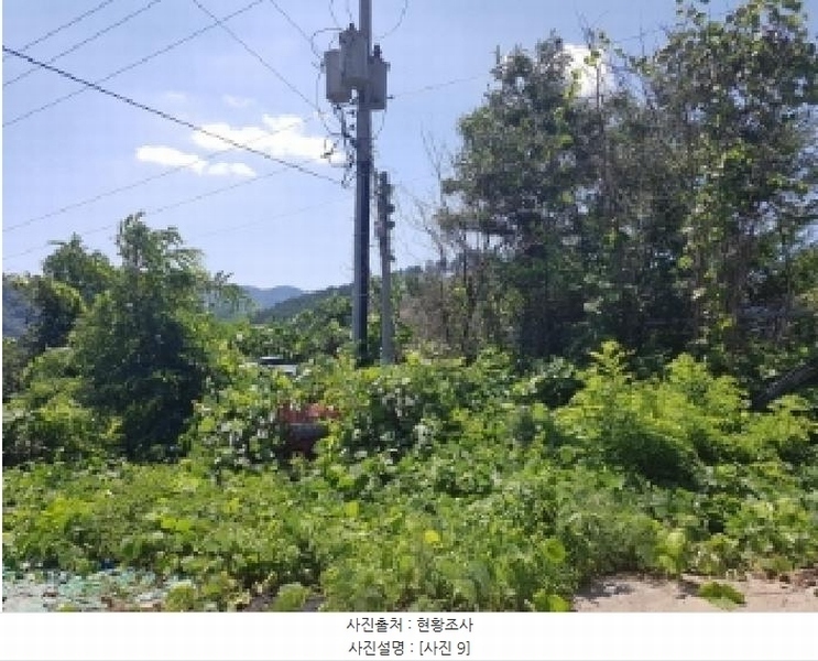 2025타경50730 강원특별자치도 인제군 서화면 서흥리 897-6 농지 경매 이미지
