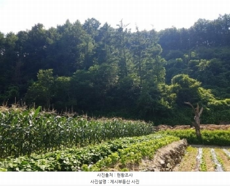 2025타경50762 강원특별자치도 춘천시 남면 발산리 512 임야 경매 이미지