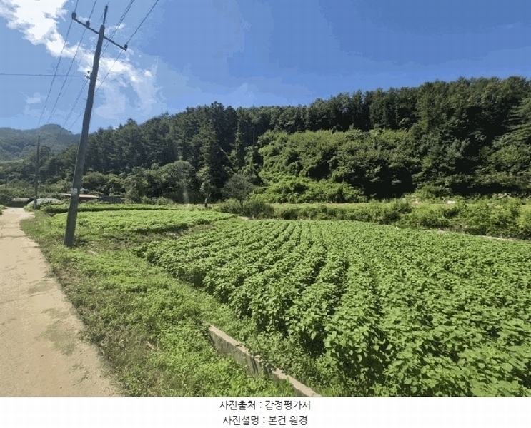 2025타경50762 강원특별자치도 춘천시 남면 발산리 512 임야 경매 이미지