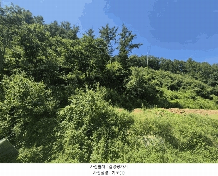2025타경50762 강원특별자치도 춘천시 남면 발산리 512 임야 경매 이미지