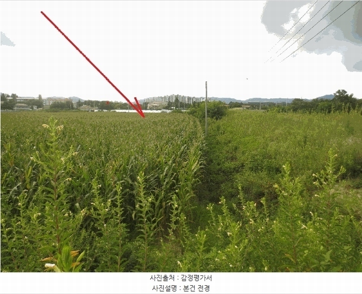 2025타경50814 강원특별자치도 춘천시 우두동 340-63 농지 경매 이미지