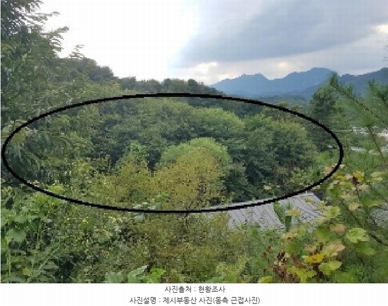 2025타경50834 강원특별자치도 춘천시 신동면 증리 592 농지 경매 이미지