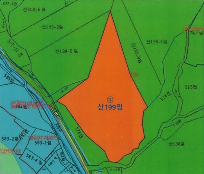 2025타경50842 강원특별자치도 춘천시 신동면 혈동리 산199 임야 경매 이미지