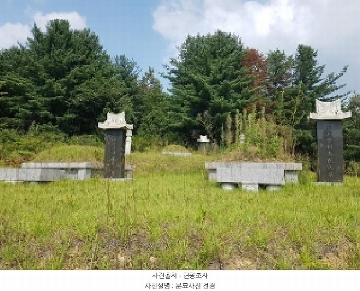 2025타경50842 강원특별자치도 춘천시 신동면 혈동리 산199 임야 경매 이미지