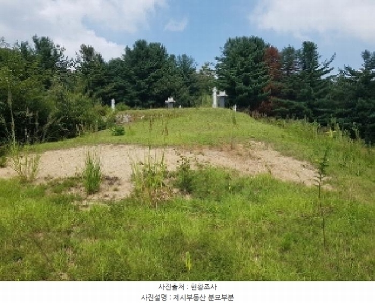 2025타경50842 강원특별자치도 춘천시 신동면 혈동리 산199 임야 경매 이미지