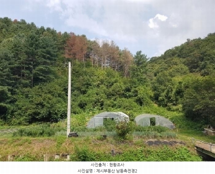 2025타경50842 강원특별자치도 춘천시 신동면 혈동리 산199 임야 경매 이미지