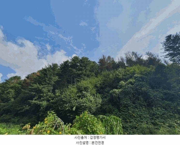 2025타경50842 강원특별자치도 춘천시 신동면 혈동리 산199 임야 경매 이미지
