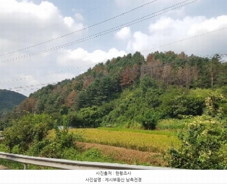 2025타경50842 강원특별자치도 춘천시 신동면 혈동리 산199 임야 경매 이미지