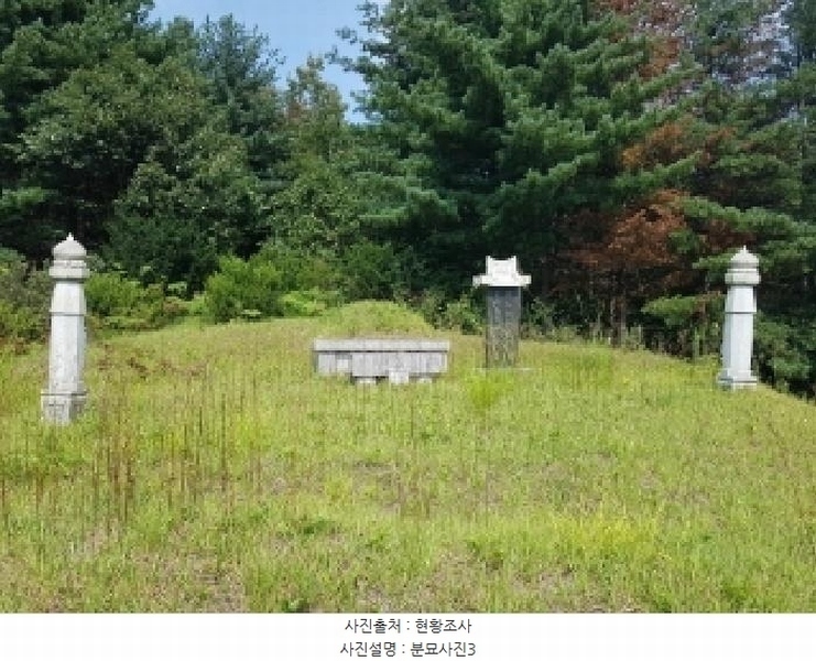 2025타경50842 강원특별자치도 춘천시 신동면 혈동리 산199 임야 경매 이미지