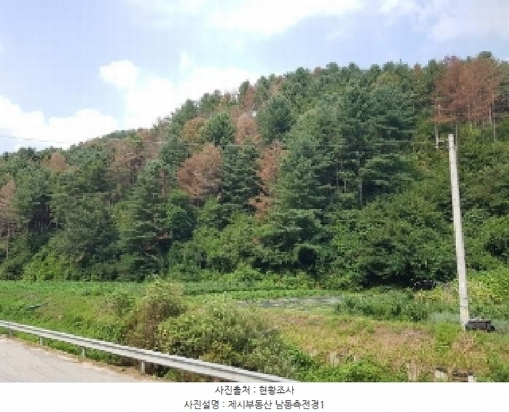 2025타경50842 강원특별자치도 춘천시 신동면 혈동리 산199 임야 경매 이미지