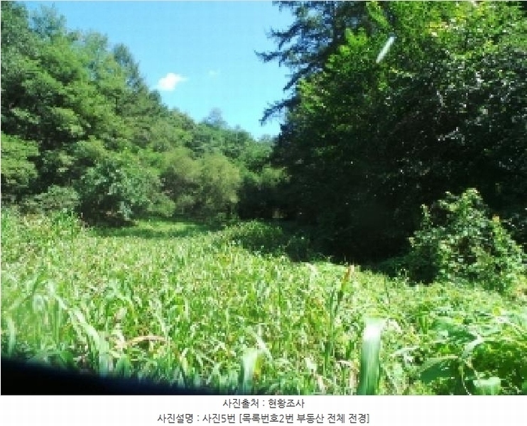 2025타경50849 강원특별자치도 양구군 동면 후곡리 361 농지 경매 이미지