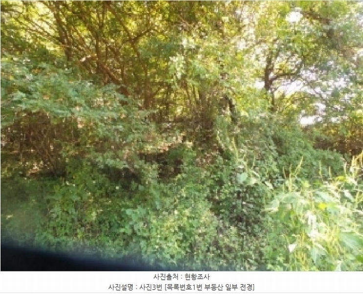 2025타경50849 강원특별자치도 양구군 동면 후곡리 361 농지 경매 이미지