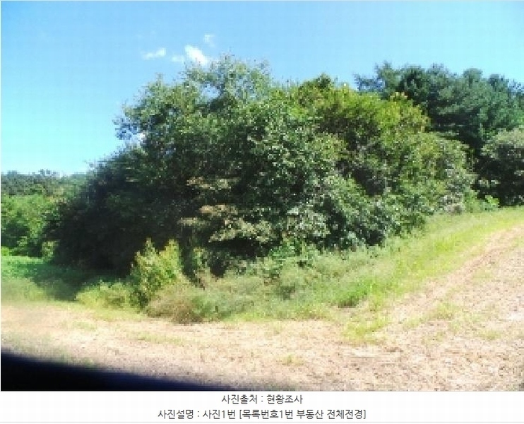 2025타경50849 강원특별자치도 양구군 동면 후곡리 361 농지 경매 이미지