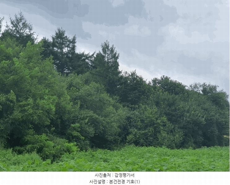 2025타경50849 강원특별자치도 양구군 동면 후곡리 361 농지 경매 이미지