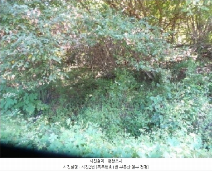 2025타경50849 강원특별자치도 양구군 동면 후곡리 361 농지 경매 이미지