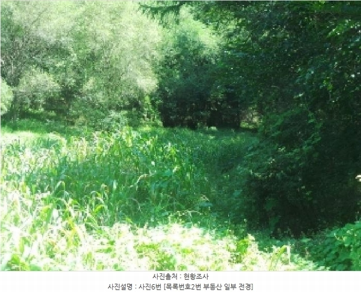 2025타경50849 강원특별자치도 양구군 동면 후곡리 361 농지 경매 이미지