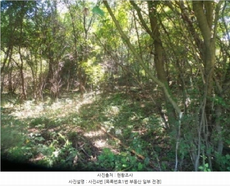 2025타경50849 강원특별자치도 양구군 동면 후곡리 361 농지 경매 이미지