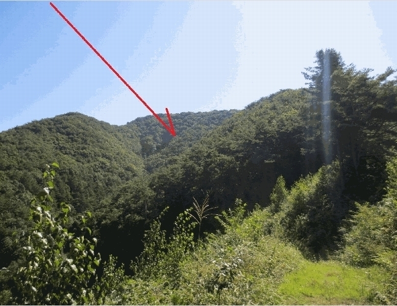 2025타경50887 강원특별자치도 홍천군 남면 양덕원리 산19 임야 경매 이미지