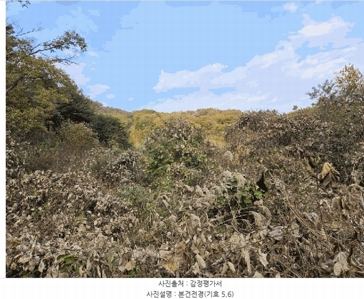 2025타경50903 강원특별자치도 홍천군 서면 대곡리 99 농지 경매 이미지