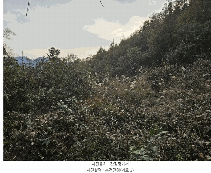 2025타경50903 강원특별자치도 홍천군 서면 대곡리 99 농지 경매 이미지