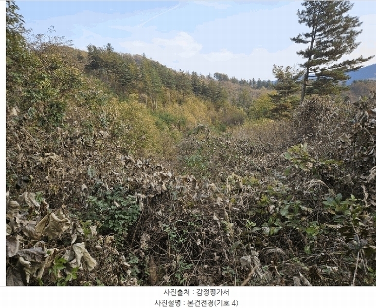 2025타경50903 강원특별자치도 홍천군 서면 대곡리 99 농지 경매 이미지