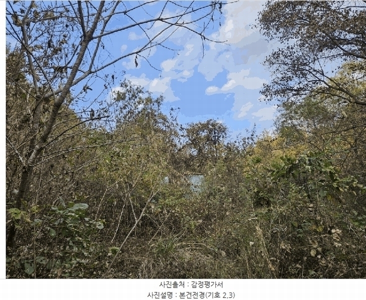 2025타경50903 강원특별자치도 홍천군 서면 대곡리 99 농지 경매 이미지