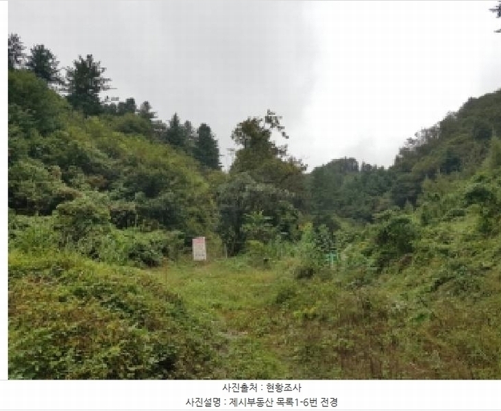 2025타경50903 강원특별자치도 홍천군 서면 대곡리 99 농지 경매 이미지