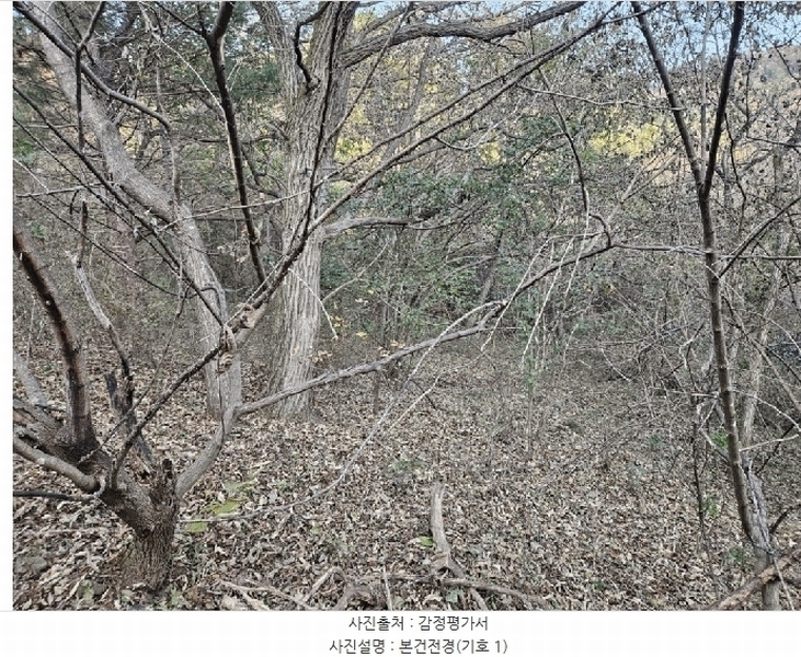2025타경50903 강원특별자치도 홍천군 서면 대곡리 99 농지 경매 이미지