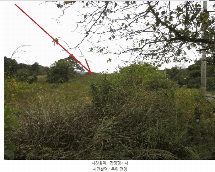 2025타경50927 강원특별자치도 홍천군 홍천읍 와동리 257-2 농지 경매 이미지