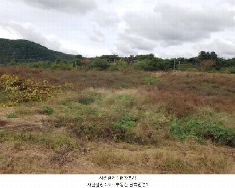 2025타경50927 강원특별자치도 홍천군 홍천읍 와동리 257-2 농지 경매 이미지