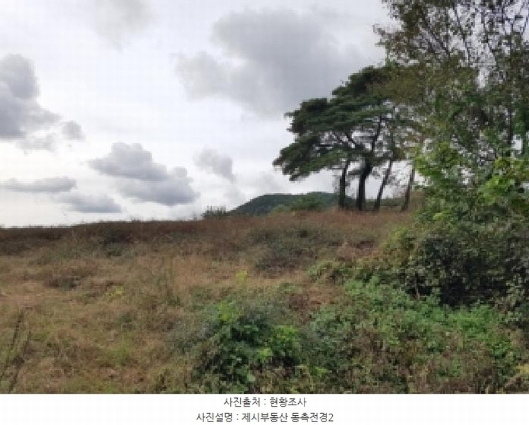 2025타경50927 강원특별자치도 홍천군 홍천읍 와동리 257-2 농지 경매 이미지