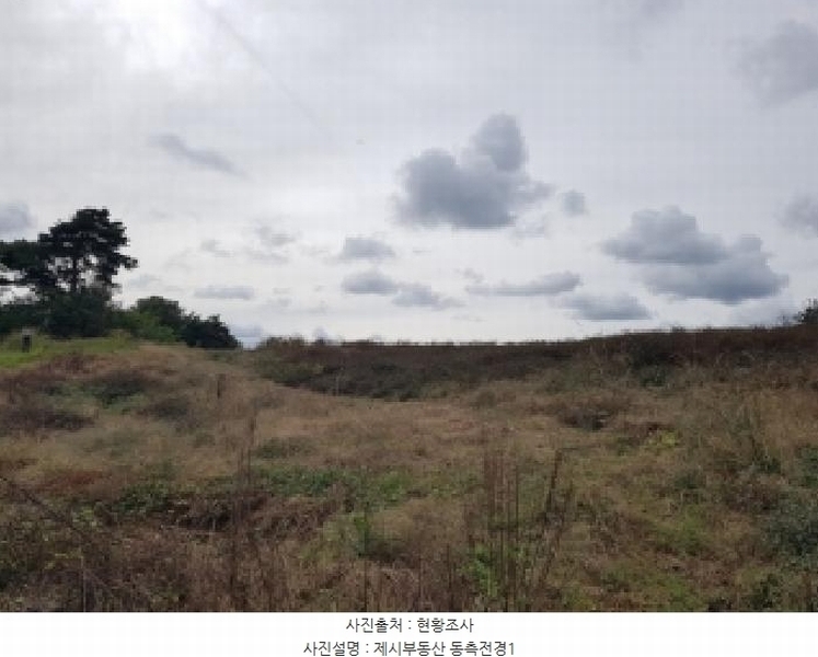 2025타경50927 강원특별자치도 홍천군 홍천읍 와동리 257-2 농지 경매 이미지