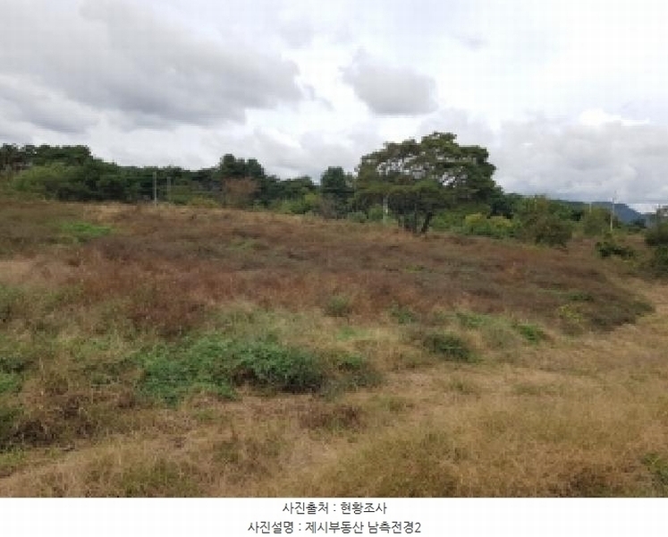 2025타경50927 강원특별자치도 홍천군 홍천읍 와동리 257-2 농지 경매 이미지
