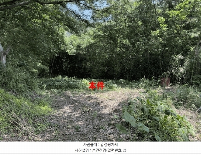 2025타경233 경상남도 창원시 마산합포구 진북면 인곡리 256 농지 경매 이미지