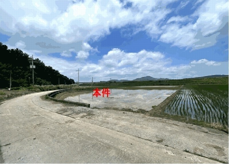 2025타경240 경상남도 함안군 군북면 모로리 351-6 농지 경매 이미지