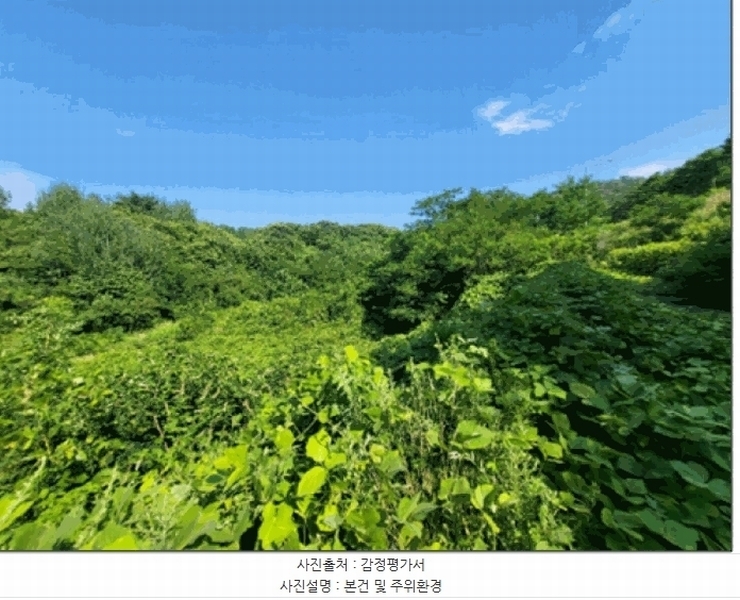 2025타경30648 강원특별자치도 삼척시 성남동 70 농지 경매 이미지