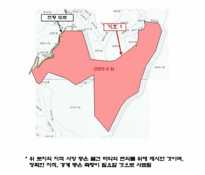 2024타경1728 강원특별자치도 삼척시 조비동 산372-2 임야 경매 이미지