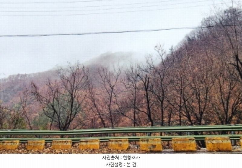 2024타경1728 강원특별자치도 삼척시 조비동 산372-2 임야 경매 이미지