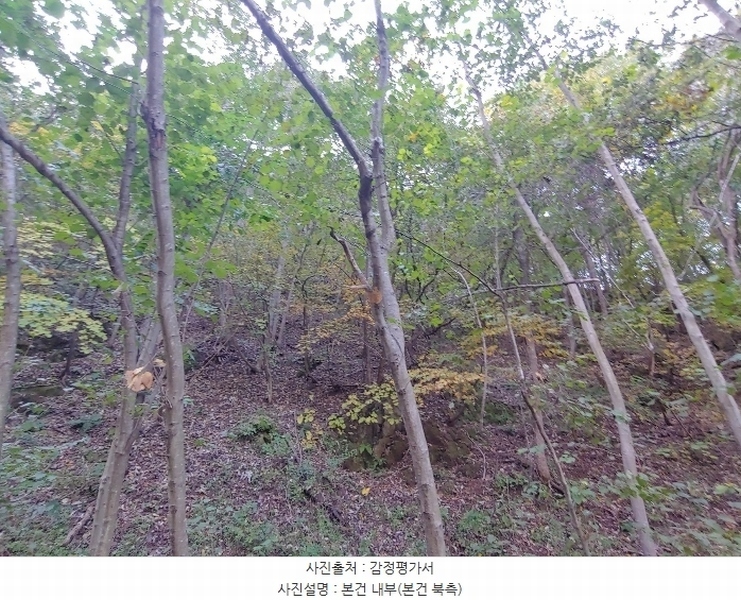 2024타경1728 강원특별자치도 삼척시 조비동 산372-2 임야 경매 이미지