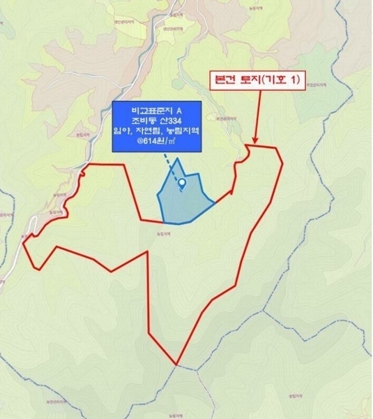 2024타경1728 강원특별자치도 삼척시 조비동 산372-2 임야 경매 이미지
