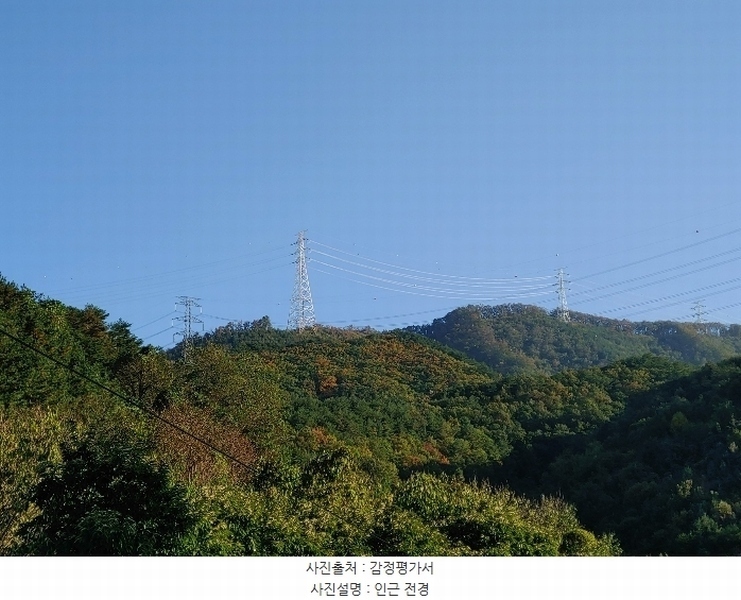 2024타경1728 강원특별자치도 삼척시 조비동 산372-2 임야 경매 이미지