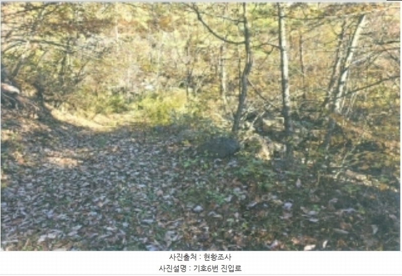 2024타경1759 강원특별자치도 강릉시 왕산면 도마리 산21 임야 경매 이미지