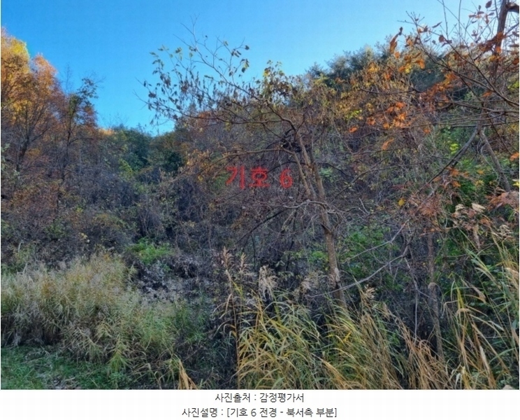 2024타경1759 강원특별자치도 강릉시 왕산면 도마리 산21 임야 경매 이미지