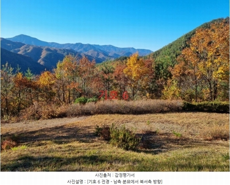 2024타경1759 강원특별자치도 강릉시 왕산면 도마리 산21 임야 경매 이미지