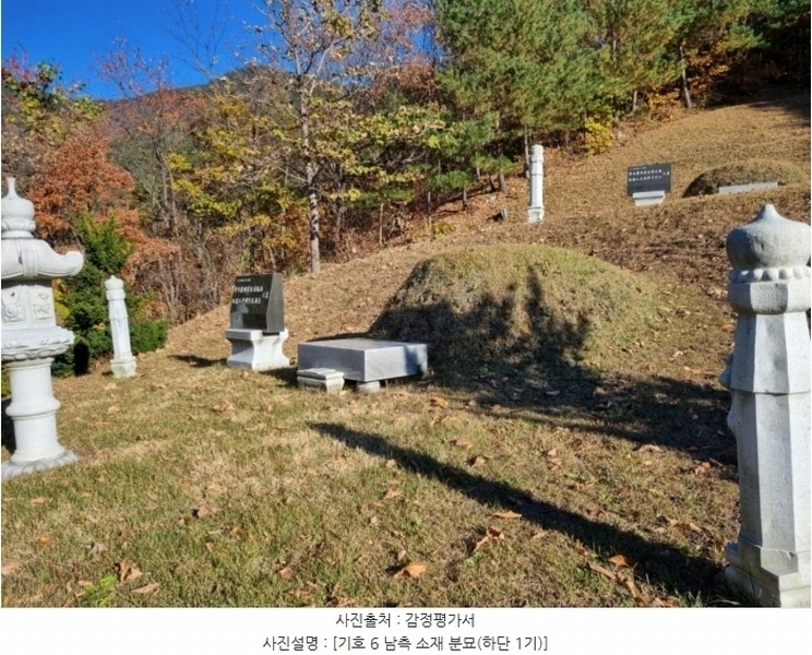 2024타경1759 강원특별자치도 강릉시 왕산면 도마리 산21 임야 경매 이미지