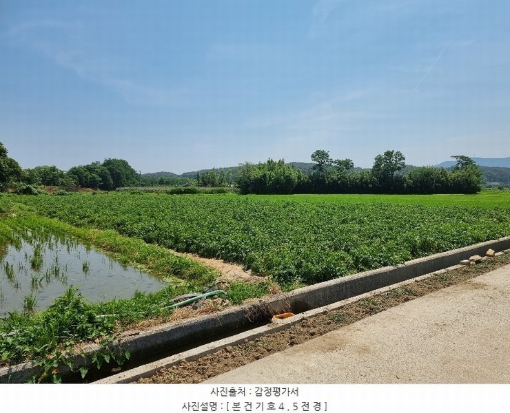 2024타경52795 강원특별자치도 강릉시 박월동 11-4 농지 경매 이미지