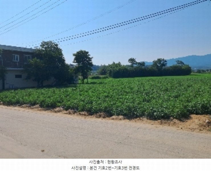 2024타경52795 강원특별자치도 강릉시 박월동 11-4 농지 경매 이미지
