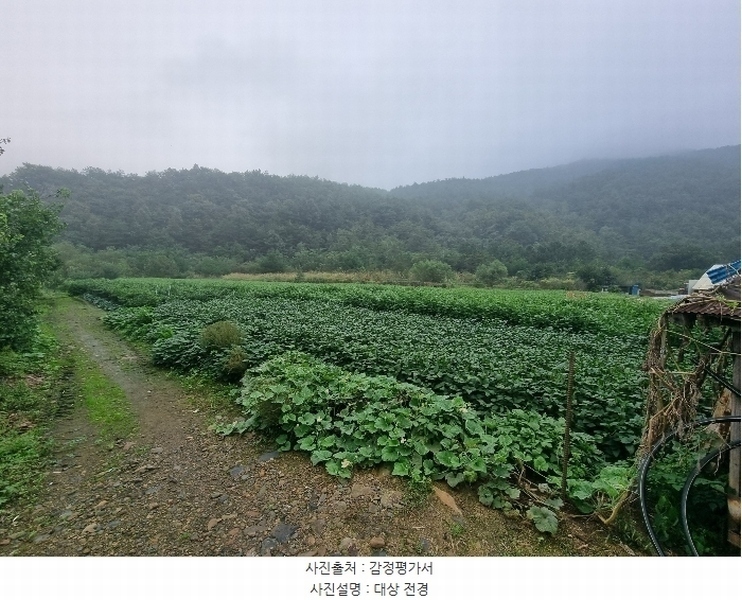 2024타경54104 강원특별자치도 강릉시 강동면 임곡리 169 농지 경매 이미지