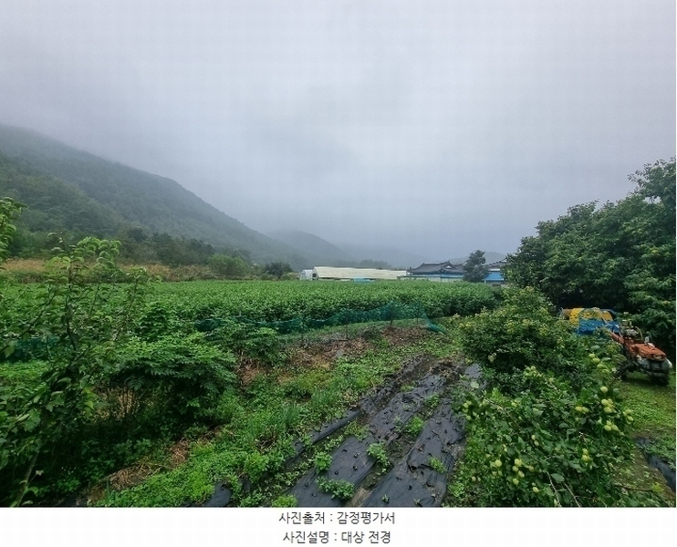 2024타경54104 강원특별자치도 강릉시 강동면 임곡리 169 농지 경매 이미지