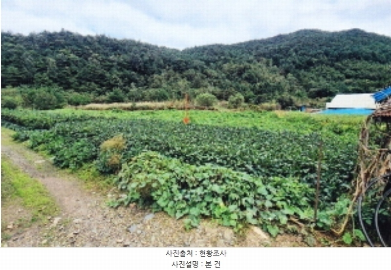 2024타경54104 강원특별자치도 강릉시 강동면 임곡리 169 농지 경매 이미지